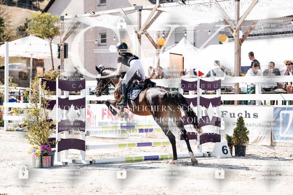 CK904990 | Turnierfotografie Pferdefotografie Trier Rheinland-Pfalz Pferdesport Reitsport Tierfotografie Sportfotografie Pferdevideo Pferdevideografie Equestrianvideography equestrianphotography  - Realisiert mit Pictrs.com