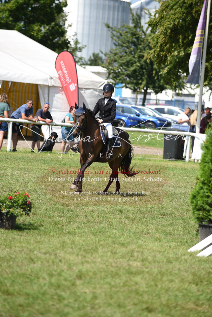 DSC_9923 | Pferde- und Turnierfotografie in Westsachsen. Pferdeportraits, Auftragszeichnungen und intuitive Kunst.