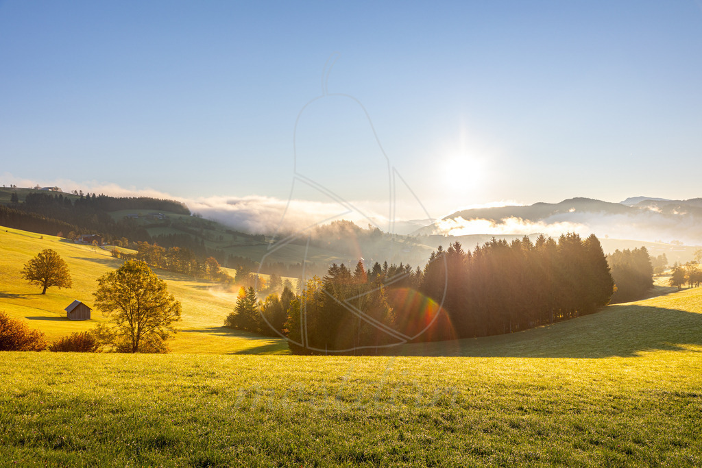 Herbstsonne Franzenreith Randegg | Ihre Fotografin im Lungau, ihre Fotografin im Mostviertel, Wandbilder Onlineshop, Imagefotos für Ihr Unternehmen,  - Realisiert mit Pictrs.com