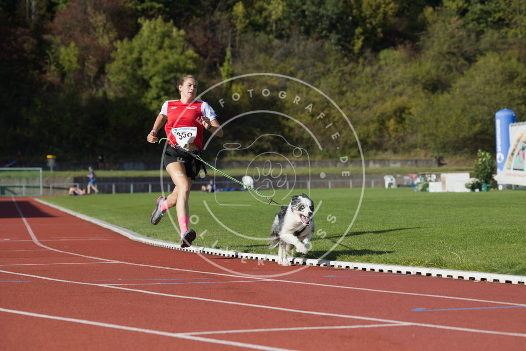 0L8A9684 | Hundefotografie, Tierfotograf, Pfotenfotografie, Fotoshooting Hund, Hunde Portrait, Hundesport, Hundeportraits, Heideshooting, Hunde, Sportfotograf, Hundefotograf, Turnierhundsport, THS,  - Realisiert mit Pictrs.com