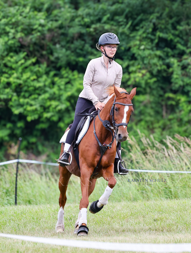 1B3A2930 | Reitsport Reiten