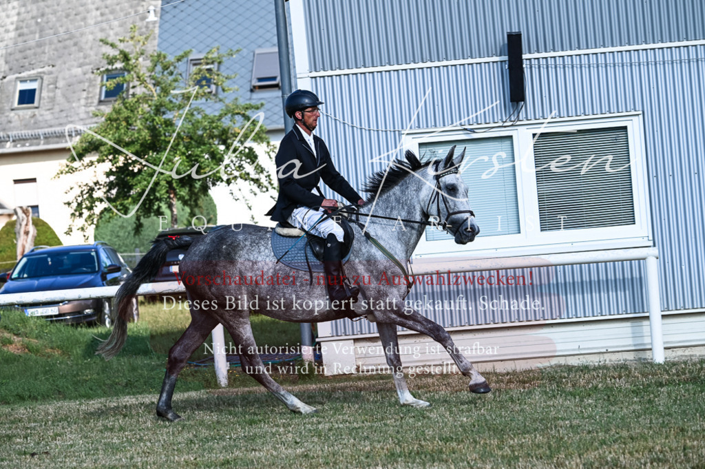 DSC_7488 | Pferde- und Turnierfotografie in Westsachsen. Pferdeportraits, Auftragszeichnungen und intuitive Kunst.