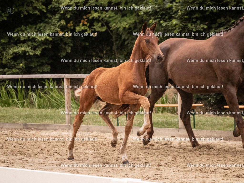 A10I6802 | photographylinaismer - Realisiert mit Pictrs.com
