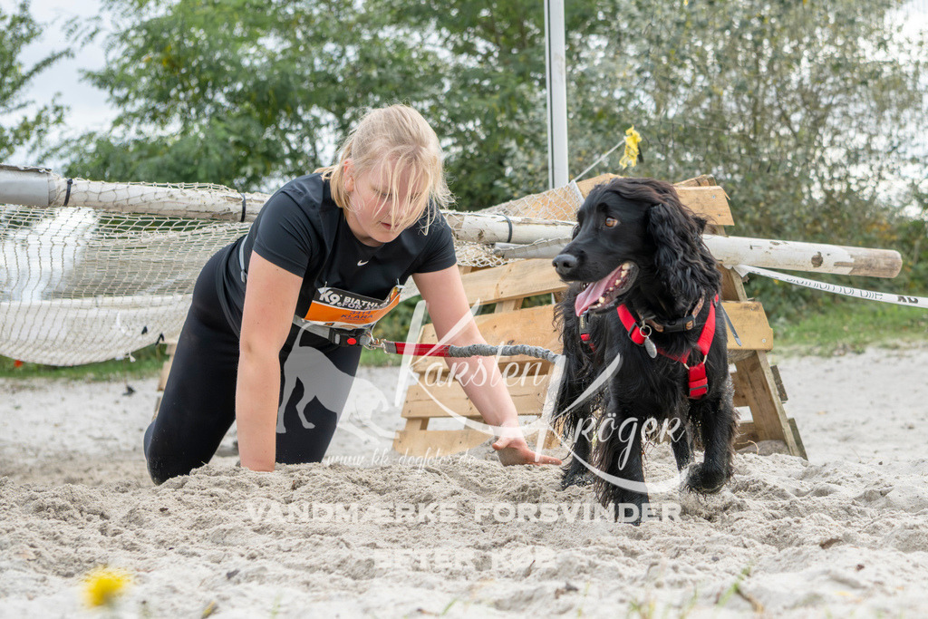 1521_ZZ94745 | kk-dogfotos
