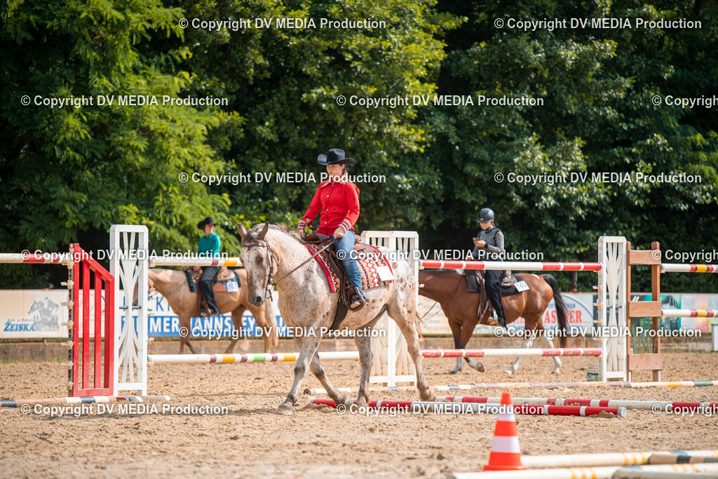 ZS2_7620 | dv-media-shop - Realisiert mit Pictrs.com