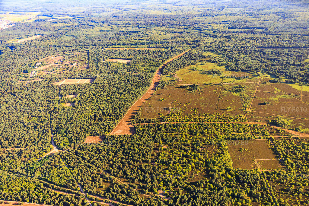 Vue aérienne: Quartier d'Estienne dans la forêt à le quartier Ceinture Forêt Nord in Hagenau dans le département Bas Rhin, France – .Photo: IMG_082931.jpg prise le 26/06/2015 par Werner Riehm/FLY-FOTO.eu – Résolution de l'original: 5472 x 3648 px
