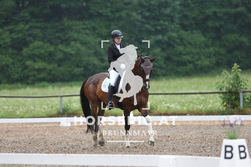 0P6A9078 | Willkommen bei Brunnmayr - Design & Fotografie – Ihrem Spezialisten für Reitturniere und Pferdeveranstaltungen in Oberösterreich, Salzburg und Bayern! Seit über 17 Jahren sind wir leidenschaftlich dabei.