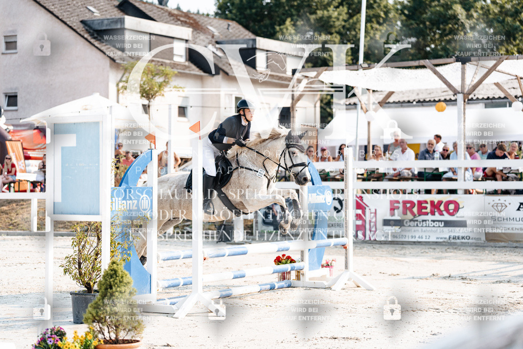 CK902643 | Turnierfotografie Pferdefotografie Trier Rheinland-Pfalz Pferdesport Reitsport Tierfotografie Sportfotografie Pferdevideo Pferdevideografie Equestrianvideography equestrianphotography  - Realisiert mit Pictrs.com