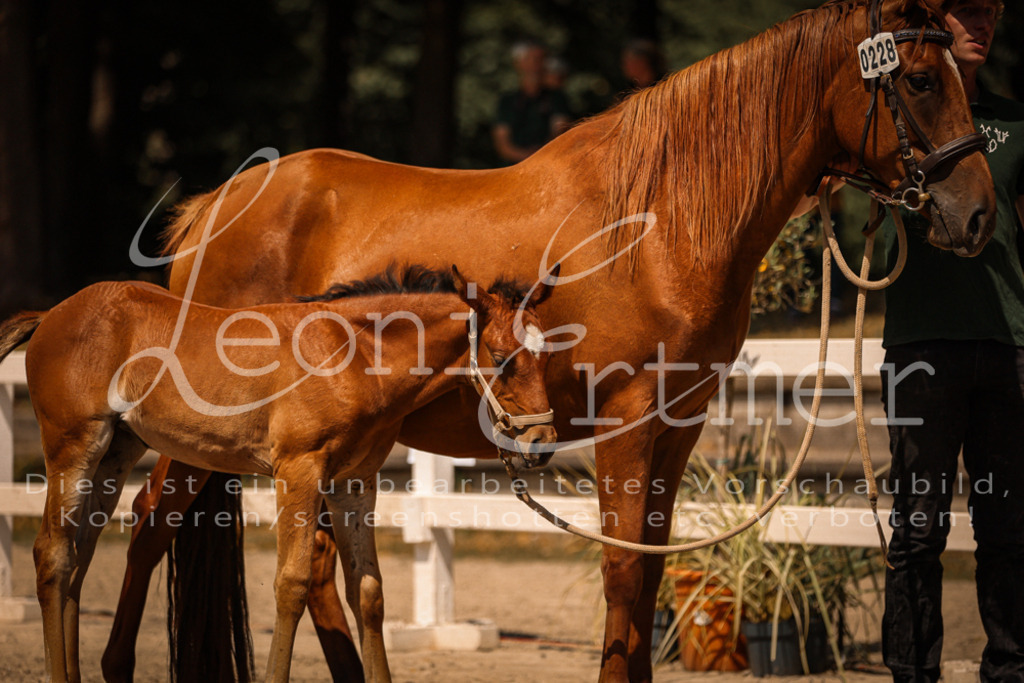 03.DoAB00070 | Leoni Ertmer Photography - Realisiert mit Pictrs.com