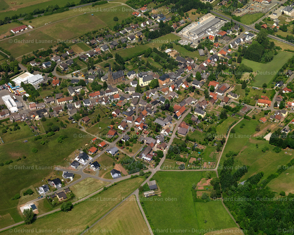 Sien-3111433 | Sien