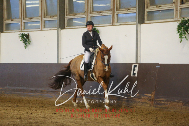 IMG_7102 | Turniersportfotografie; Pferdefotografie; Dressurfotografie