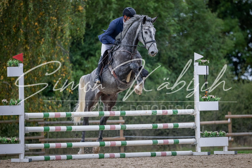 20251012-_3LI3948 | Tierfotografie Pferde, Hunde, Katzen, Haustiere.
Turnierfotografie Reitturniere, Reiten, Springreiten, Dressur in Hanau, dem Main-Kinzig-Kreis und dem Rhein-Main- Gebiet um Frankfurt
