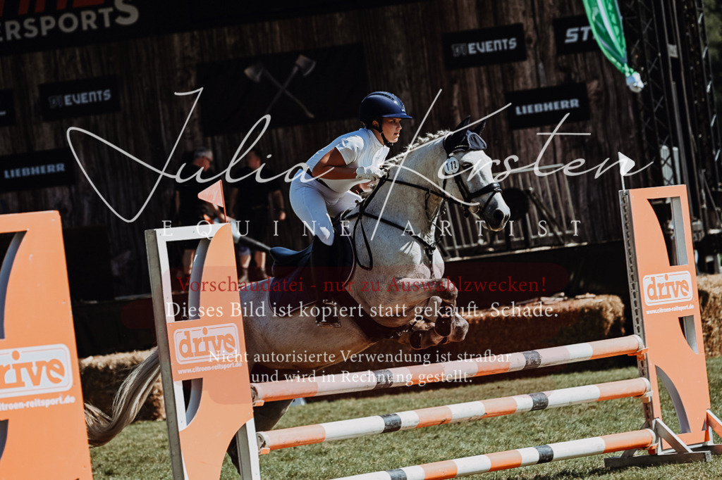 DSC_6533 | Pferde- und Turnierfotografie in Westsachsen. Pferdeportraits, Auftragszeichnungen und intuitive Kunst.