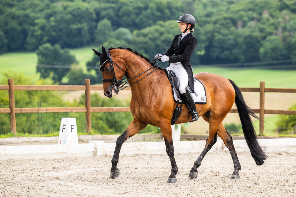 Luxembourg Dressage Championship 2025 - Senior League B | Luxembourg Dressage Championship 2025 - Mara Schleich on Didgeridoo - Realisiert mit Pictrs.com
