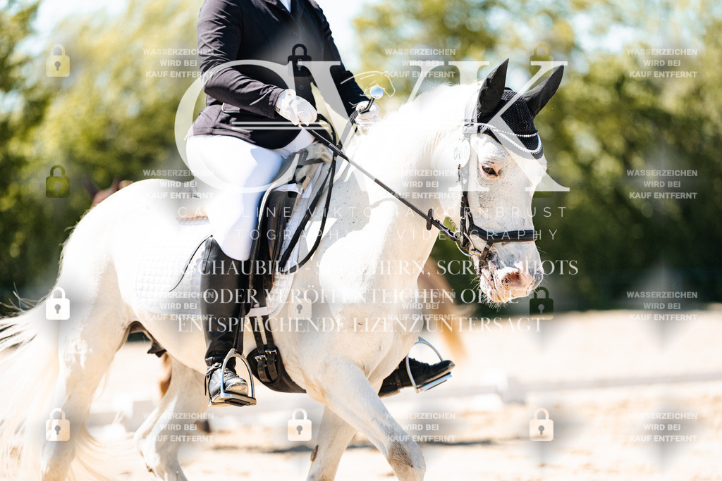 CK905511 | Turnierfotografie Pferdefotografie Trier Rheinland-Pfalz Pferdesport Reitsport Tierfotografie Sportfotografie Pferdevideo Pferdevideografie Equestrianvideography equestrianphotography  - Realisiert mit Pictrs.com