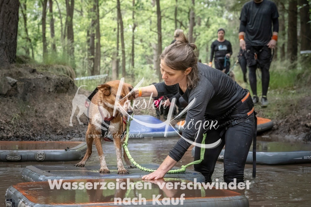 1221_ZZ98633T | kk-dogfotos