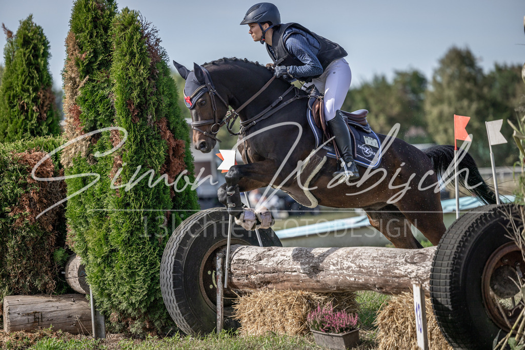 20250907-_3LI9684 | Tierfotografie Pferde, Hunde, Katzen, Haustiere.
Turnierfotografie Reitturniere, Reiten, Springreiten, Dressur in Hanau, dem Main-Kinzig-Kreis und dem Rhein-Main- Gebiet um Frankfurt