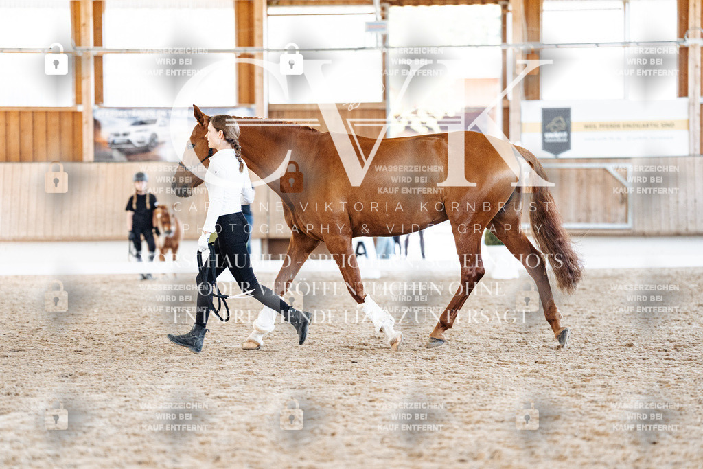 CK906939 | Turnierfotografie Pferdefotografie Trier Rheinland-Pfalz Pferdesport Reitsport Tierfotografie Sportfotografie Pferdevideo Pferdevideografie Equestrianvideography equestrianphotography  - Realisiert mit Pictrs.com