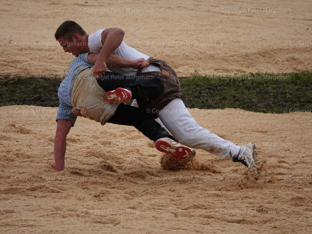 DSC07635 | Schwingen - Realisiert mit Pictrs.com