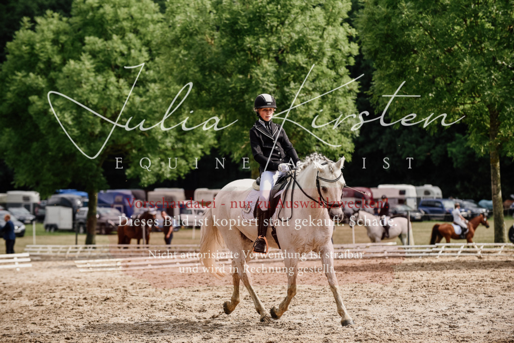 DSC_9451 | Pferde- und Turnierfotografie in Westsachsen. Pferdeportraits, Auftragszeichnungen und intuitive Kunst.