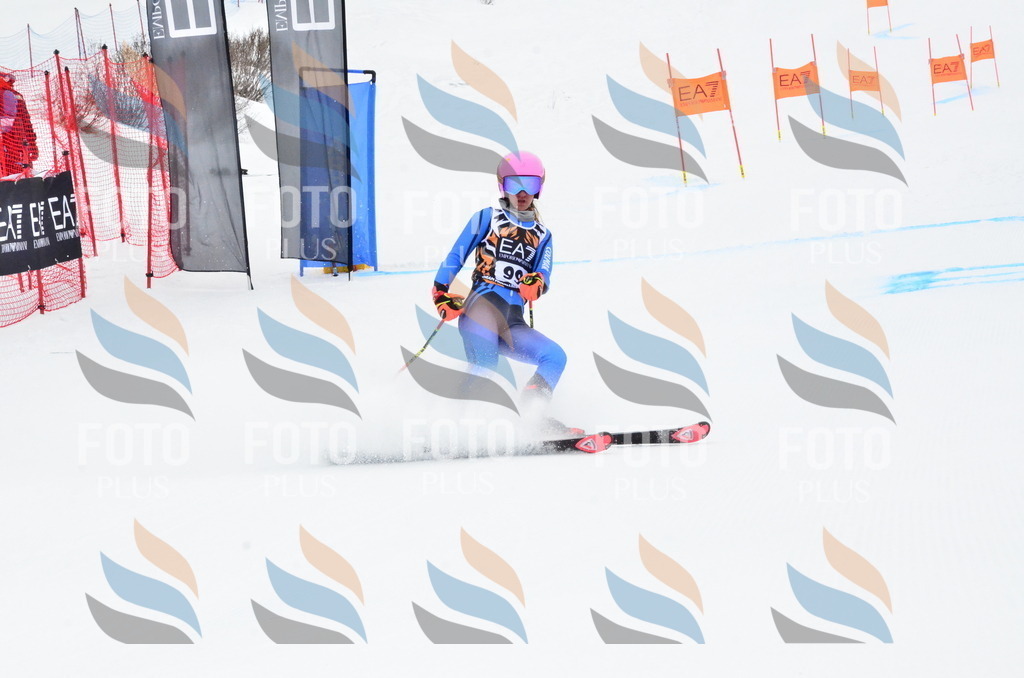 _ELE3537 | holidayphoto