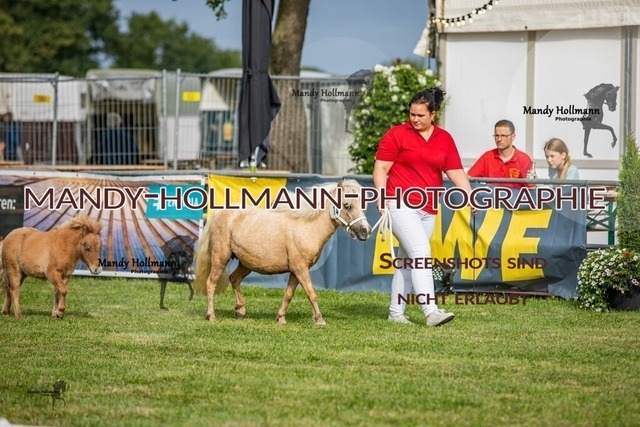 LTN 2024 (368) | mandyhollmannphotographie