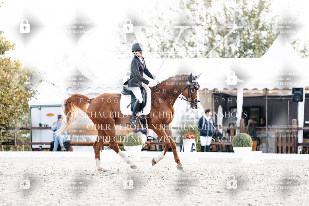 CK901337 | Turnierfotografie Pferdefotografie Trier Rheinland-Pfalz Pferdesport Reitsport Tierfotografie Sportfotografie Pferdevideo Pferdevideografie Equestrianvideography equestrianphotography  - Realisiert mit Pictrs.com