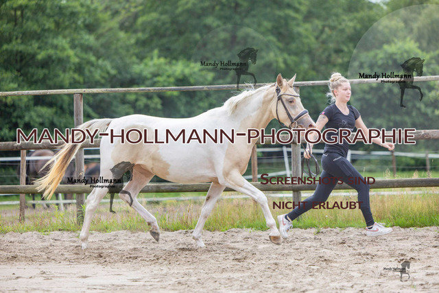 Hexenberg-344 | mandyhollmannphotographie