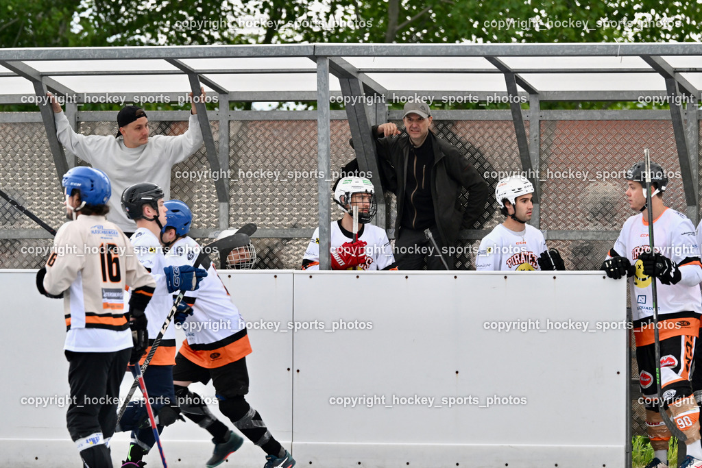 Carinthian Team Zehenthof vs. Ultras Spittal | Spielerbank Carinthian Team Zehenthof, Headcoach Carinthian Team Zehenthof Novak Martin, Carinthian Team Zehenthof vs. Ultras Spittal, Carinthian Team Zehenthof vs. Ultras Spittal am 10.05.2026 in Villach (Alpen Arena ), Austria, (Photo by Bernd Stefan)