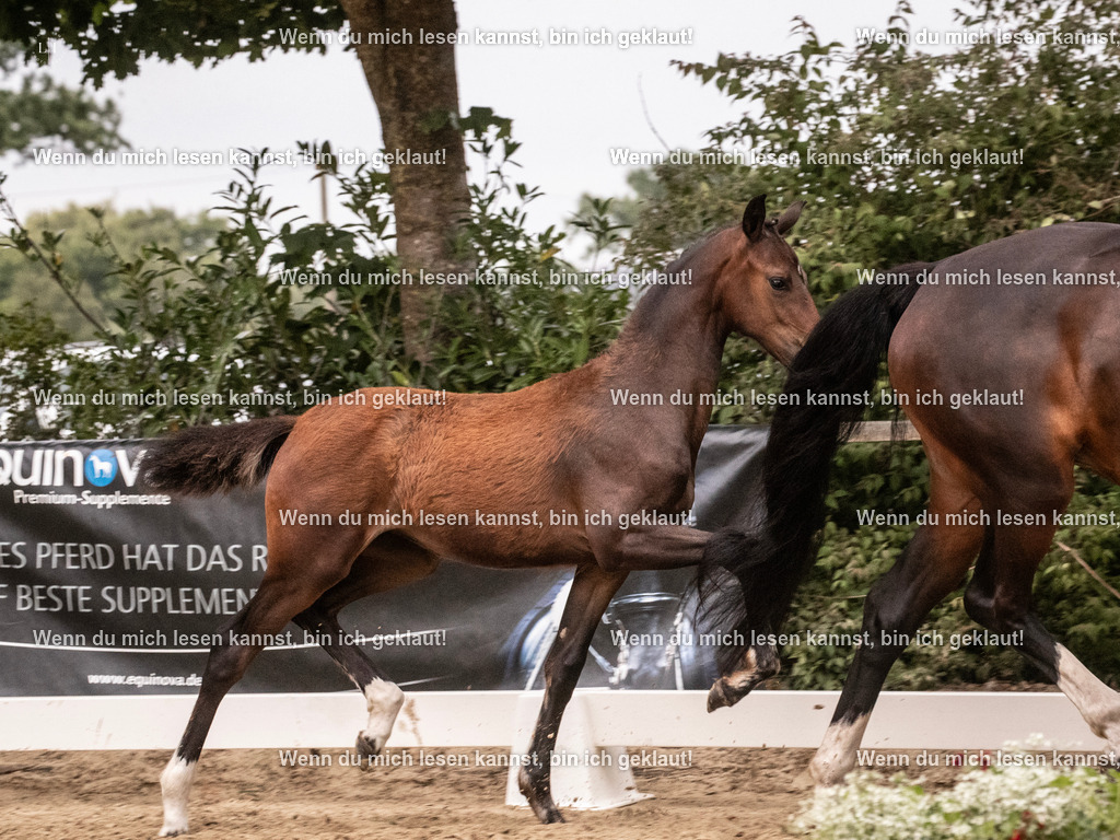 A10I7077 | photographylinaismer - Realisiert mit Pictrs.com