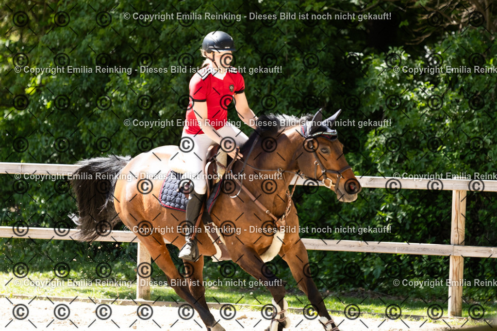 CL5A4612 | Emilia Reinking Fotografie - Realisiert mit Pictrs.com