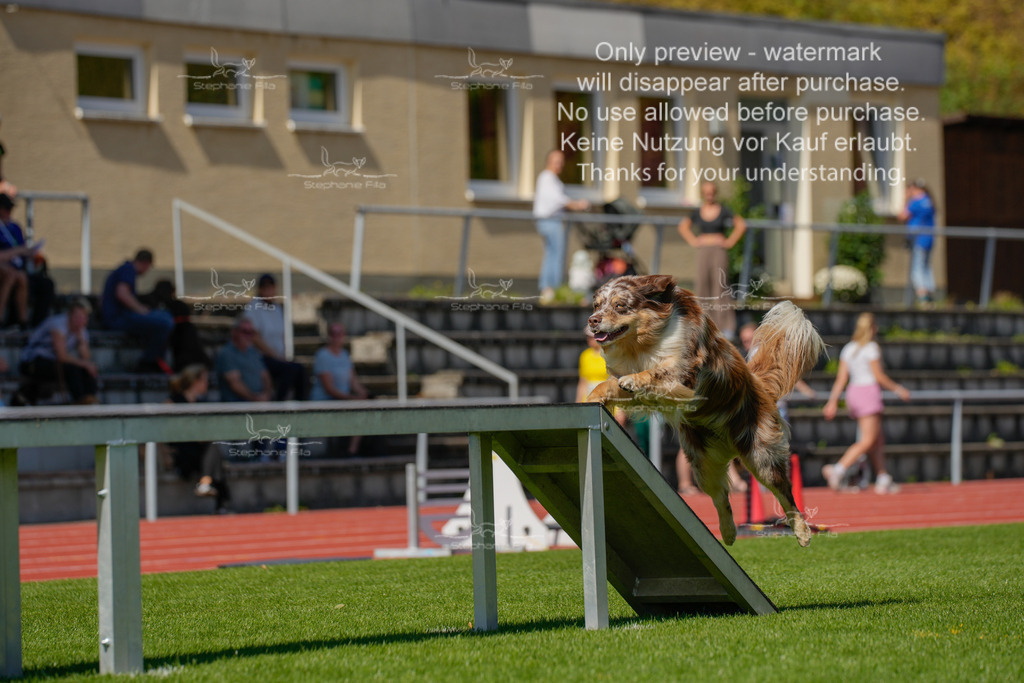 Sonntag_VK Hindernis (115 von 671) | stephaniefillaphotographie - Realisiert mit Pictrs.com