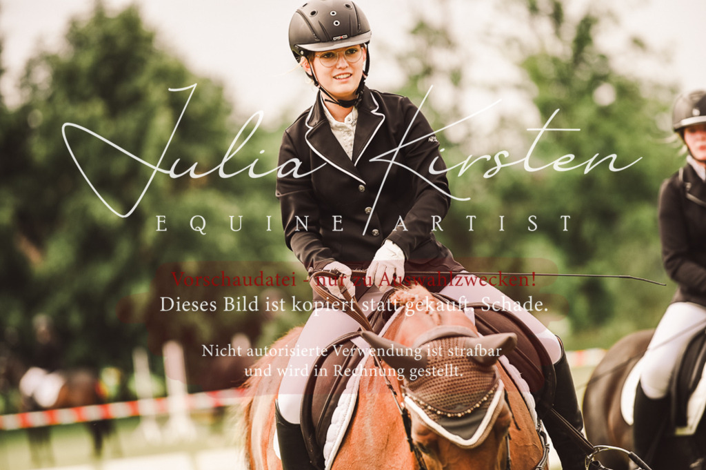 DSC_4873 | Pferde- und Turnierfotografie in Westsachsen. Pferdeportraits, Auftragszeichnungen und intuitive Kunst.