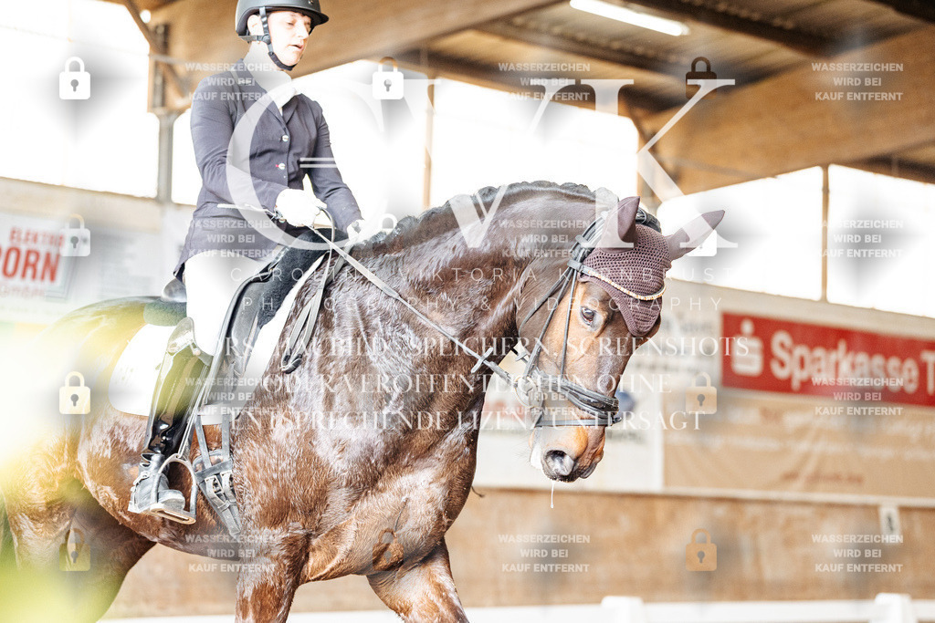 CK901478 | Turnierfotografie Pferdefotografie Trier Rheinland-Pfalz Pferdesport Reitsport Tierfotografie Sportfotografie Pferdevideo Pferdevideografie Equestrianvideography equestrianphotography  - Realized with Pictrs.com