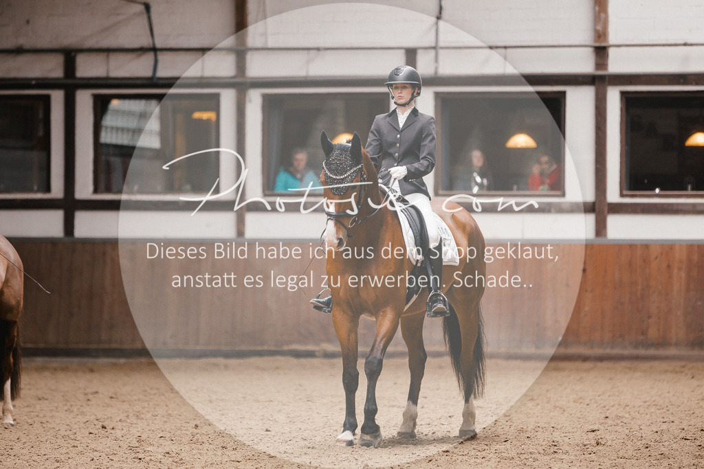 3I6A7362 | Stimmungsvolle Portraits und Reitsportfotografie im Ruhrgebiet und im Münsterland.

Pferdefotografie, Hundefotografie, Tierfotografie, Reportagen, Portraits von Tier und Mensch, Turnierfotografie in Bochum, Recklinghausen, Marl, Haltern am See, Dülmen.. - Realisiert mit Pictrs.com