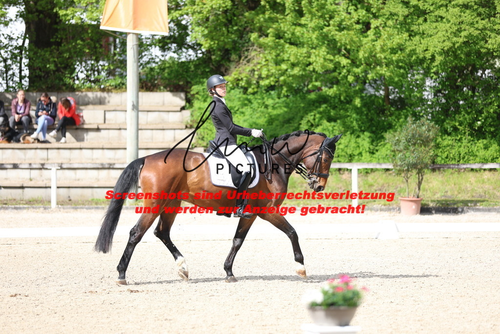 A40A4087 | lmwpictures - Realisiert mit Pictrs.com