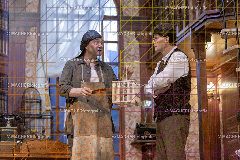 179_MFL-2025 | Portraitbilder von Regisseur; Darsteller; Techniker; Maske; Kostüme; Chor; Musiker; Bilderserie der Generalprobe und der Premierenvorstellung, Szenenbilder; Ausdrucksstudien; Bühnenüberblick; Bühnenkulissen; Pressefotos inkl. Redaktionsfoto Darstellergruppe.