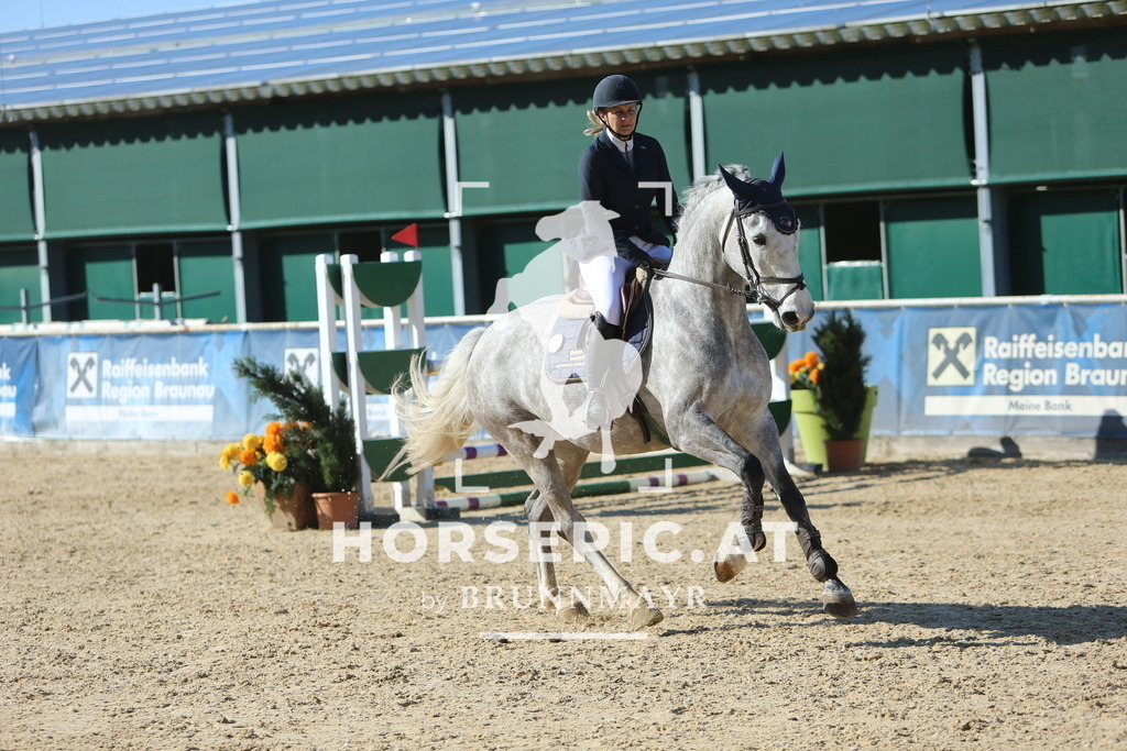 DL2Q1334 | Willkommen bei Brunnmayr - Design & Fotografie – Ihrem Spezialisten für Reitturniere und Pferdeveranstaltungen in Oberösterreich, Salzburg und Bayern! Seit über 17 Jahren sind wir leidenschaftlich dabei.