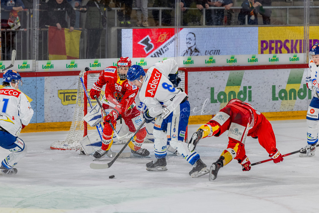 EHCB vs GCK 20260104-7855 | Sportbilder, Sportfotograf, Hochzeits- und Eventfotografin, Flugshows, Portraits und Tiershooting, Aviation, Downhill, Nationalleague, Swissleague, International