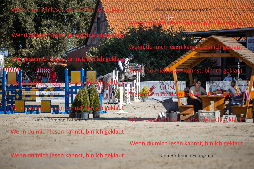 BK1A7528 | Turnierbilder Turnierfotos Nina Hüffmann Turnierfotografie Pferdefotografie Tierzeichnung Haustierzeichnung Pferdezeichnung Hundezeichnung Videograf  - Realisiert mit Pictrs.com