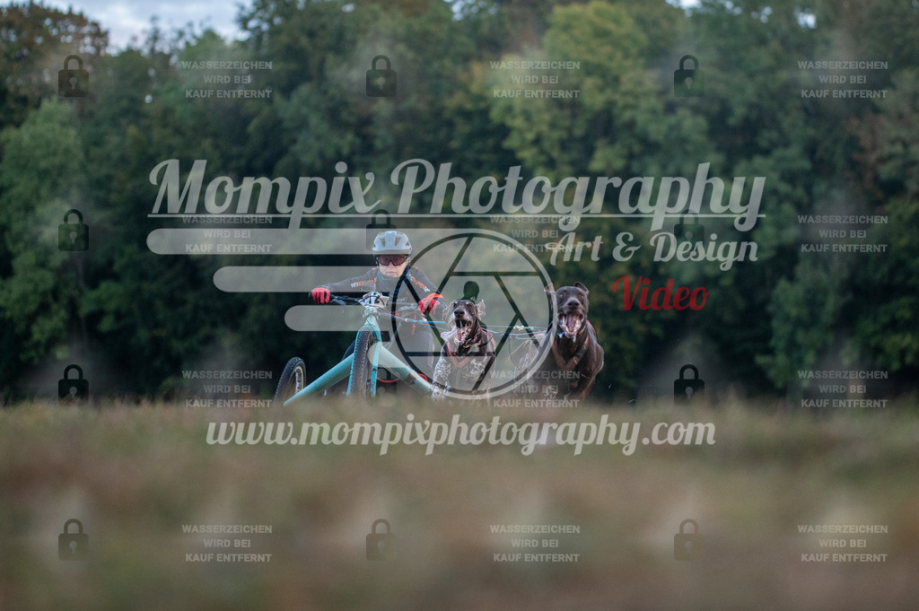 CDLBDB_15_10_2023_Dimanche-20 | PayLife