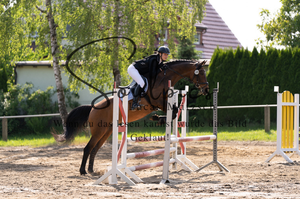 A7507323 | Turnier/Reitfotograf