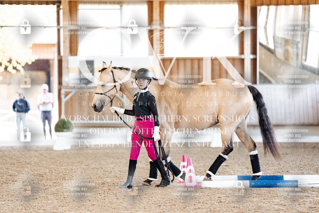 CK905395 | Turnierfotografie Pferdefotografie Trier Rheinland-Pfalz Pferdesport Reitsport Tierfotografie Sportfotografie Pferdevideo Pferdevideografie Equestrianvideography equestrianphotography  - Realized with Pictrs.com
