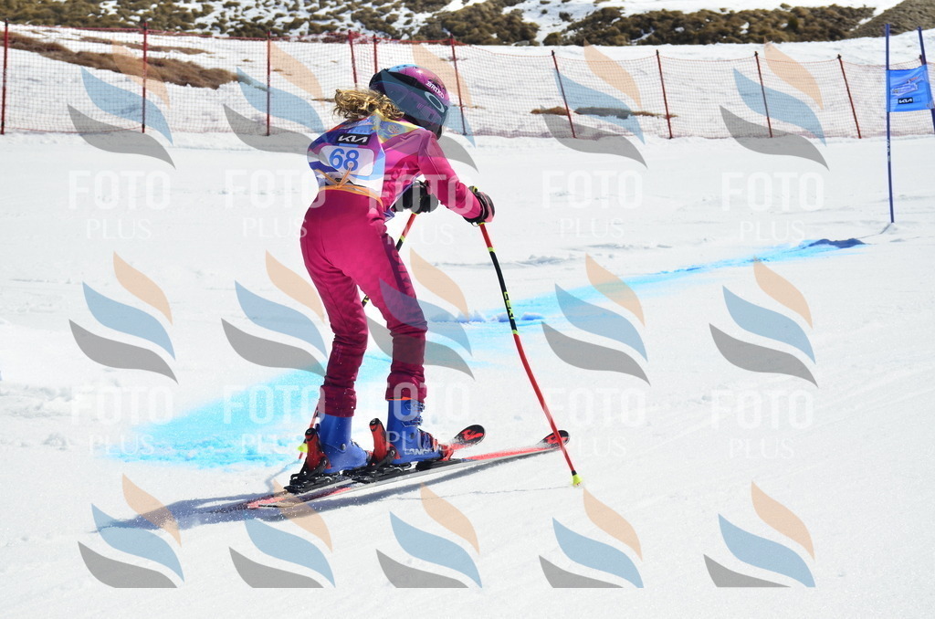 _ELE0308 | holidayphoto