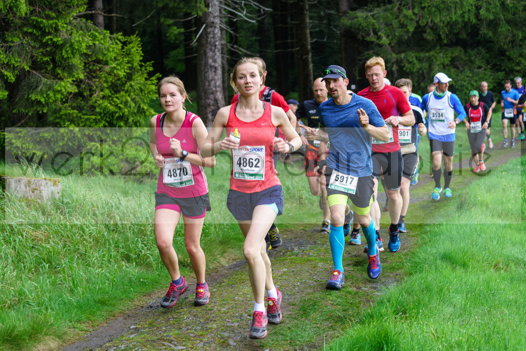 Rennsteiglauf 2017 | Neuhaus/Rwg. - Schmiedefeld am 19. Mai 2017