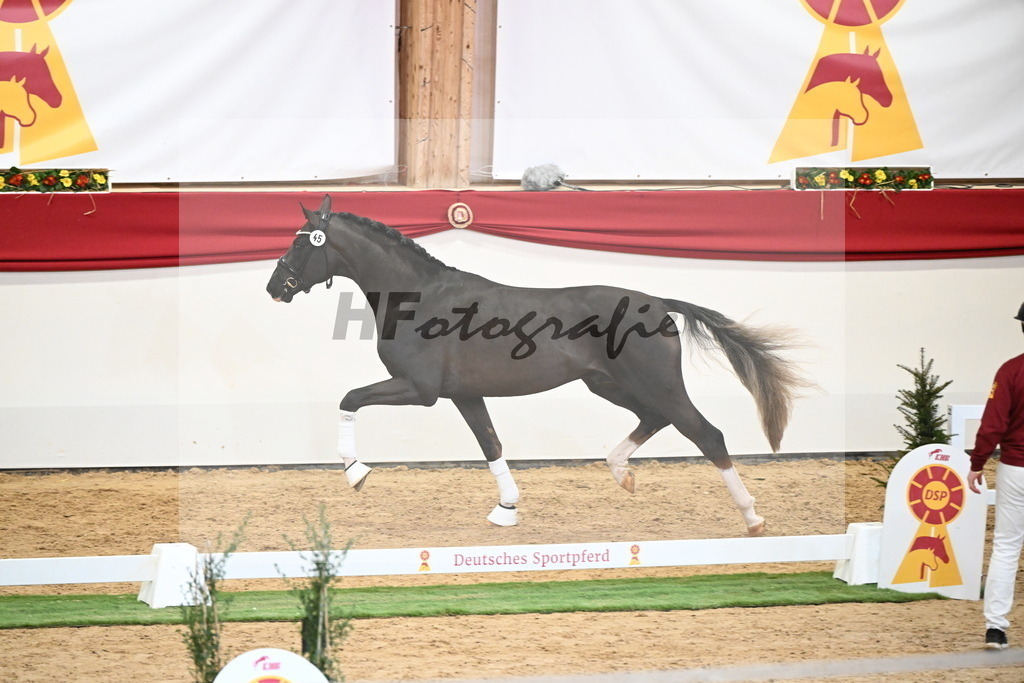 Kat.-Nr. 45 v. Bonds_Schafhof_2250054 | hf-fotografie - Realisiert mit Pictrs.com