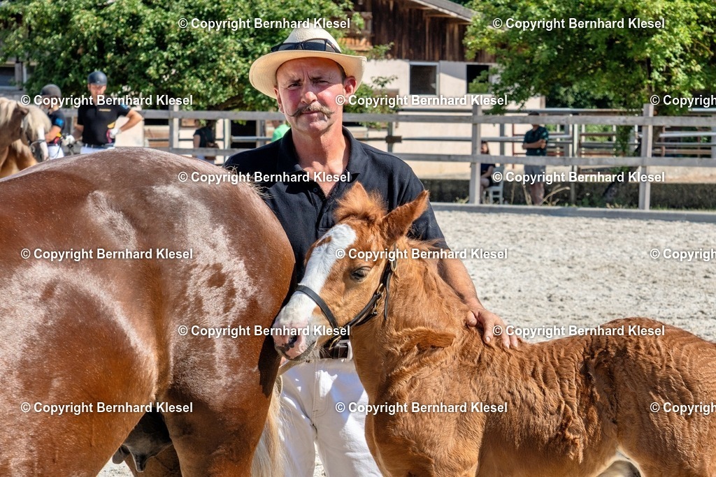 A1S09840 | foto-team-bernhard - Realisiert mit Pictrs.com
