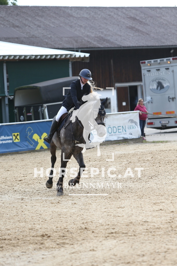 DL2Q0704 | Willkommen bei Brunnmayr - Design & Fotografie – Ihrem Spezialisten für Reitturniere und Pferdeveranstaltungen in Oberösterreich, Salzburg und Bayern! Seit über 17 Jahren sind wir leidenschaftlich dabei.