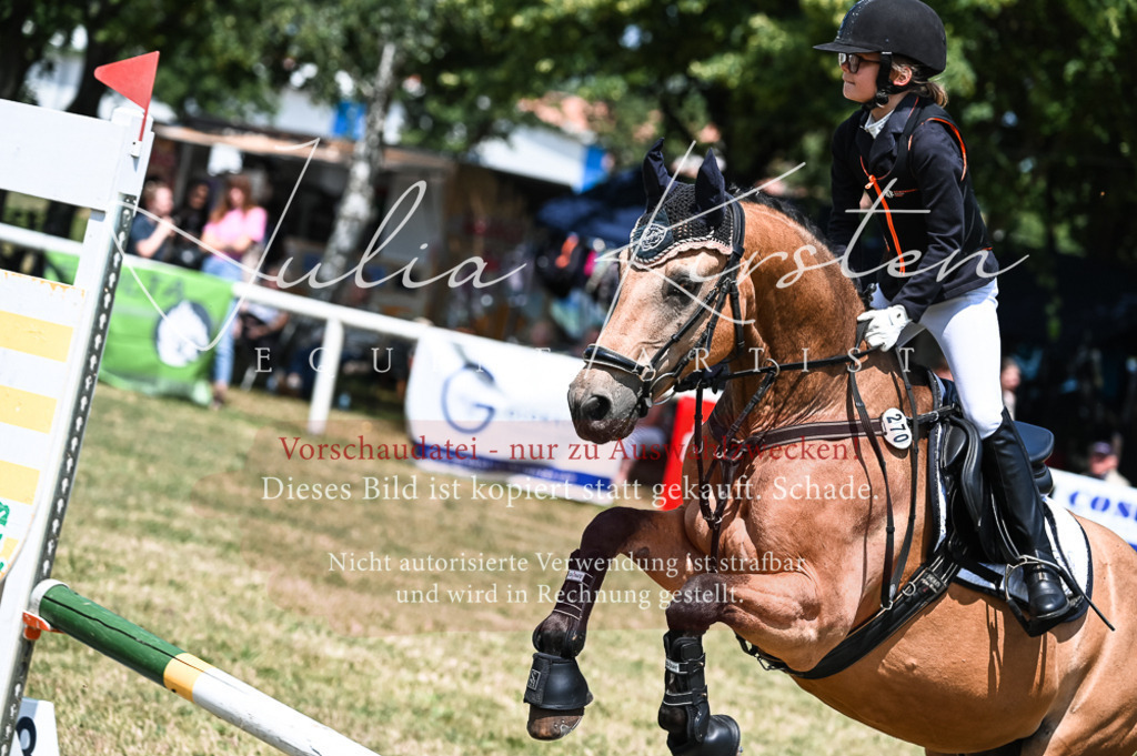 DSC_9713 | Pferde- und Turnierfotografie in Westsachsen. Pferdeportraits, Auftragszeichnungen und intuitive Kunst.