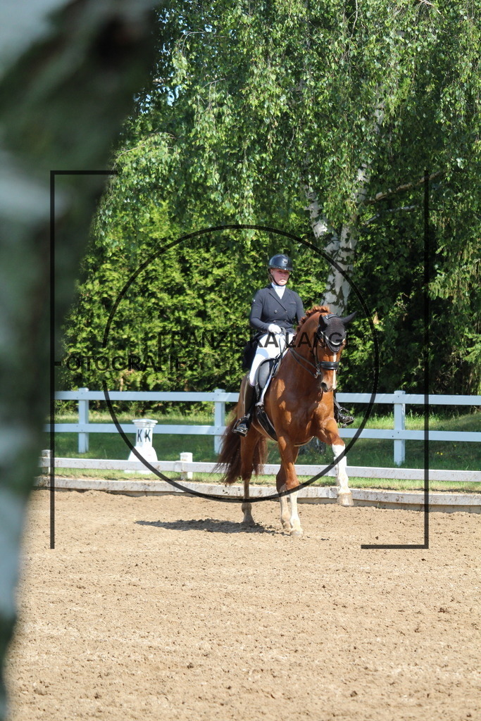 IMG_6959 | franziskalange - Realisiert mit Pictrs.com